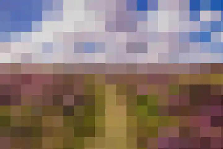Oude Dijkje 30 De Koog thumbnail 45