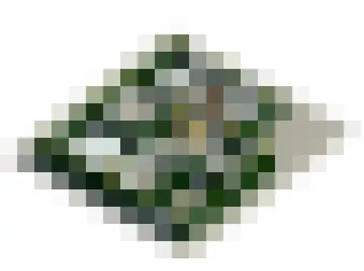Oude Dijkje 30 De Koog thumbnail 48