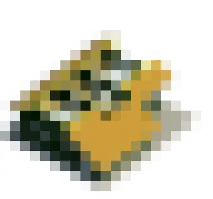 Oude Dijkje 30 De Koog thumbnail 50