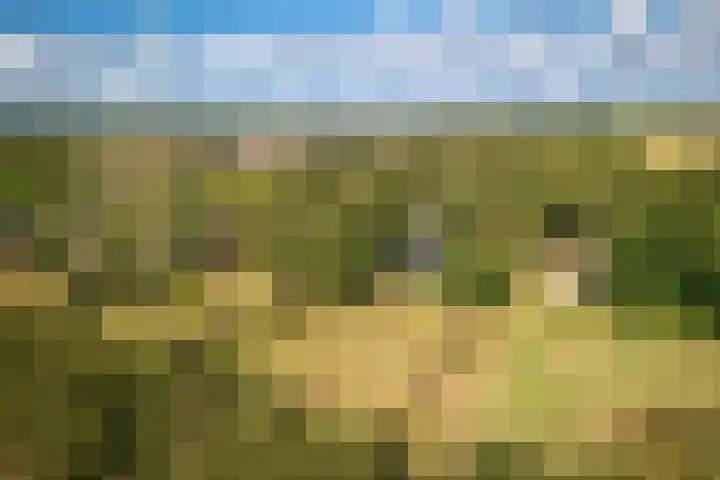 Oude Dijkje 30 De Koog thumbnail 9