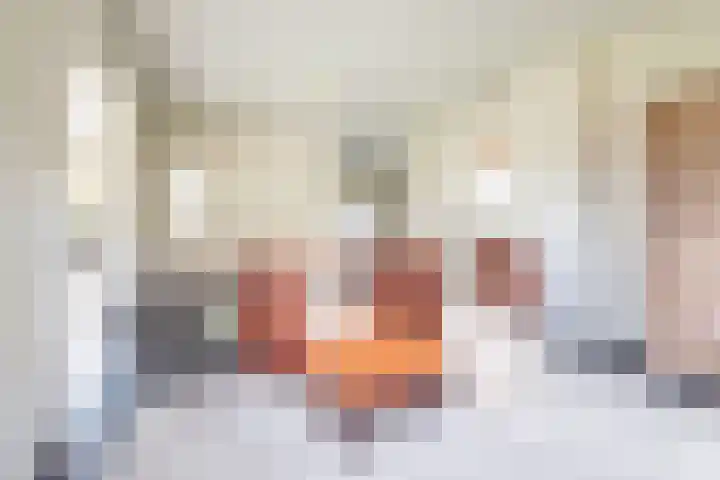 Oude Dinxperloseweg 64 Silvolde thumbnail 16