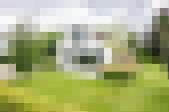 Oude Dinxperloseweg 64 Silvolde thumbnail 4