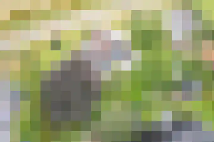 Oude Dinxperloseweg 64 Silvolde thumbnail 42