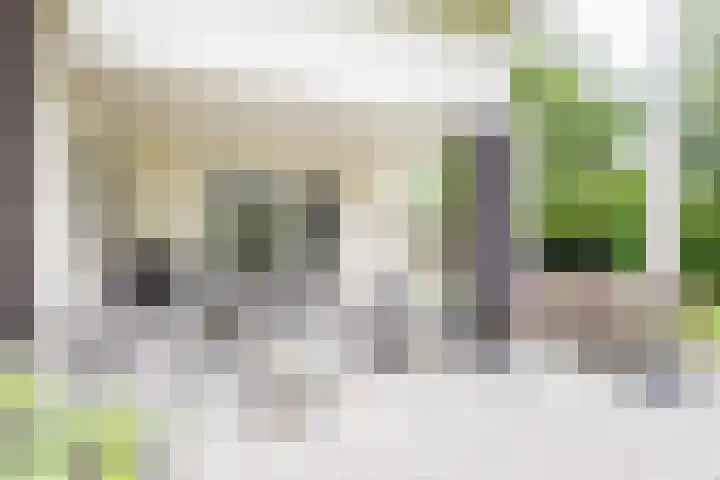 Oude Dinxperloseweg 64 Silvolde thumbnail 44