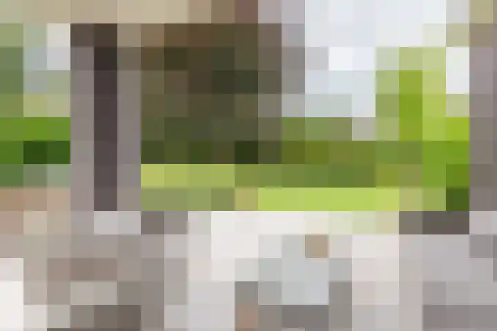 Oude Dinxperloseweg 64 Silvolde thumbnail 45