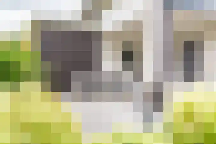 Oude Dinxperloseweg 64 Silvolde thumbnail 46