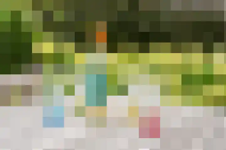 Oude Dinxperloseweg 64 Silvolde thumbnail 48