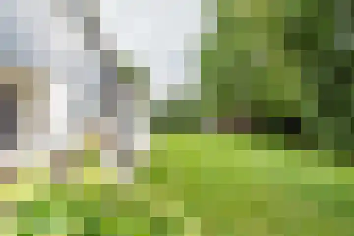 Oude Dinxperloseweg 64 Silvolde thumbnail 49
