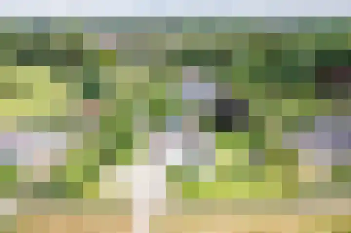 Oude Dinxperloseweg 64 Silvolde thumbnail 5