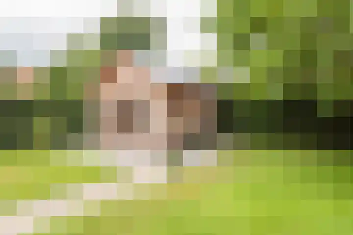 Oude Dinxperloseweg 64 Silvolde thumbnail 50