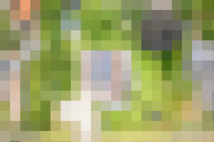 Oude Dinxperloseweg 64 Silvolde thumbnail 51