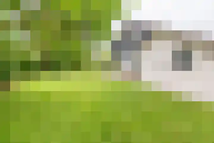 Oude Dinxperloseweg 64 Silvolde thumbnail 52