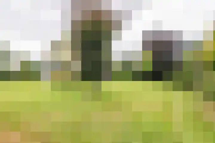 Oude Dinxperloseweg 64 Silvolde thumbnail 54