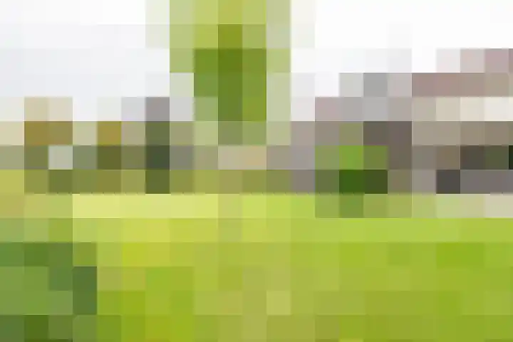 Oude Dinxperloseweg 64 Silvolde thumbnail 55