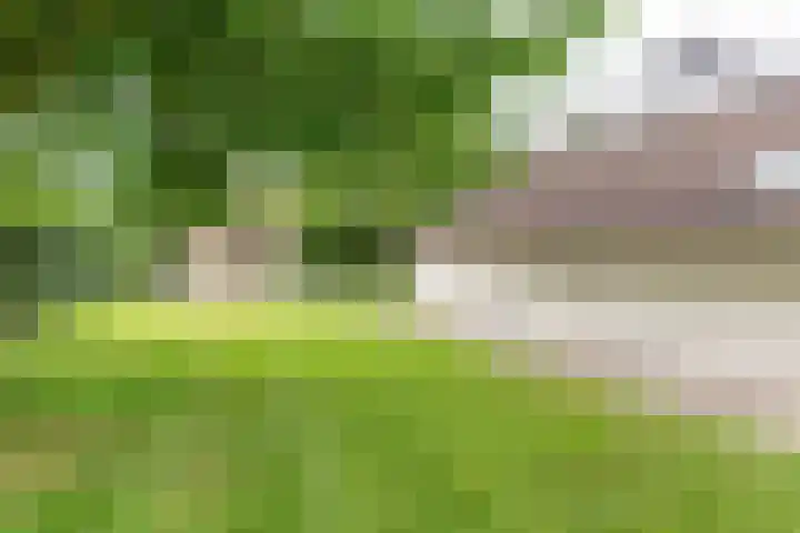 Oude Dinxperloseweg 64 Silvolde thumbnail 56