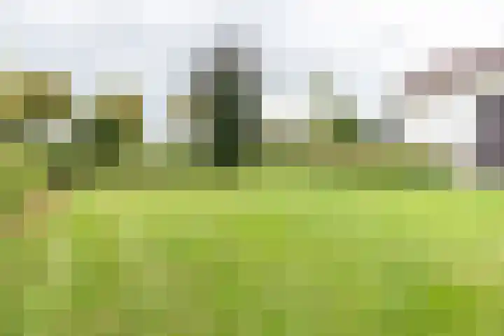 Oude Dinxperloseweg 64 Silvolde thumbnail 57