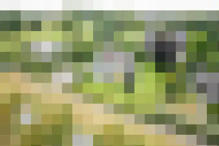 Oude Dinxperloseweg 64 Silvolde thumbnail 58