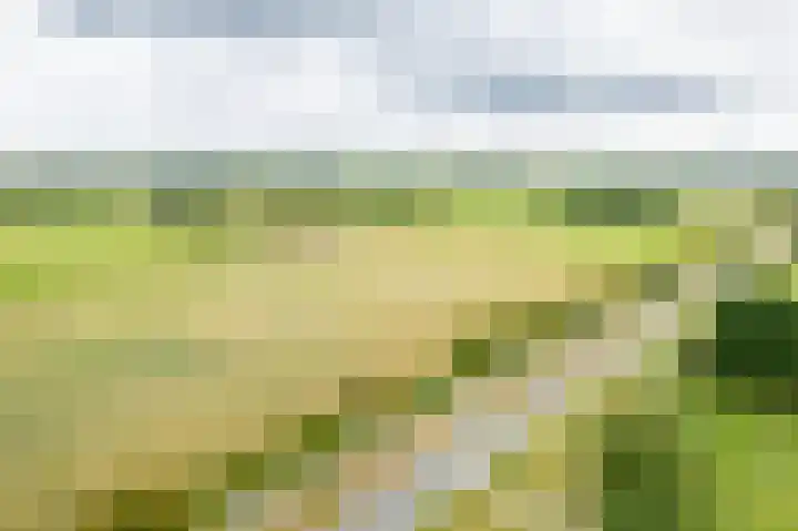Oude Dinxperloseweg 64 Silvolde thumbnail 59