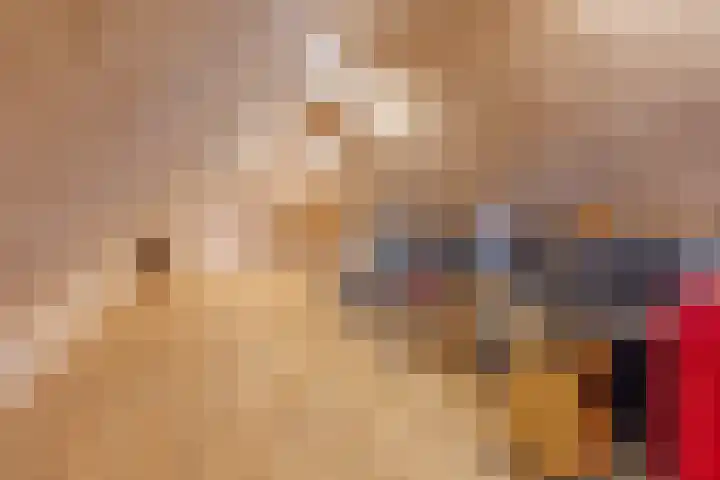 Oude Dinxperloseweg 72 Silvolde thumbnail 23