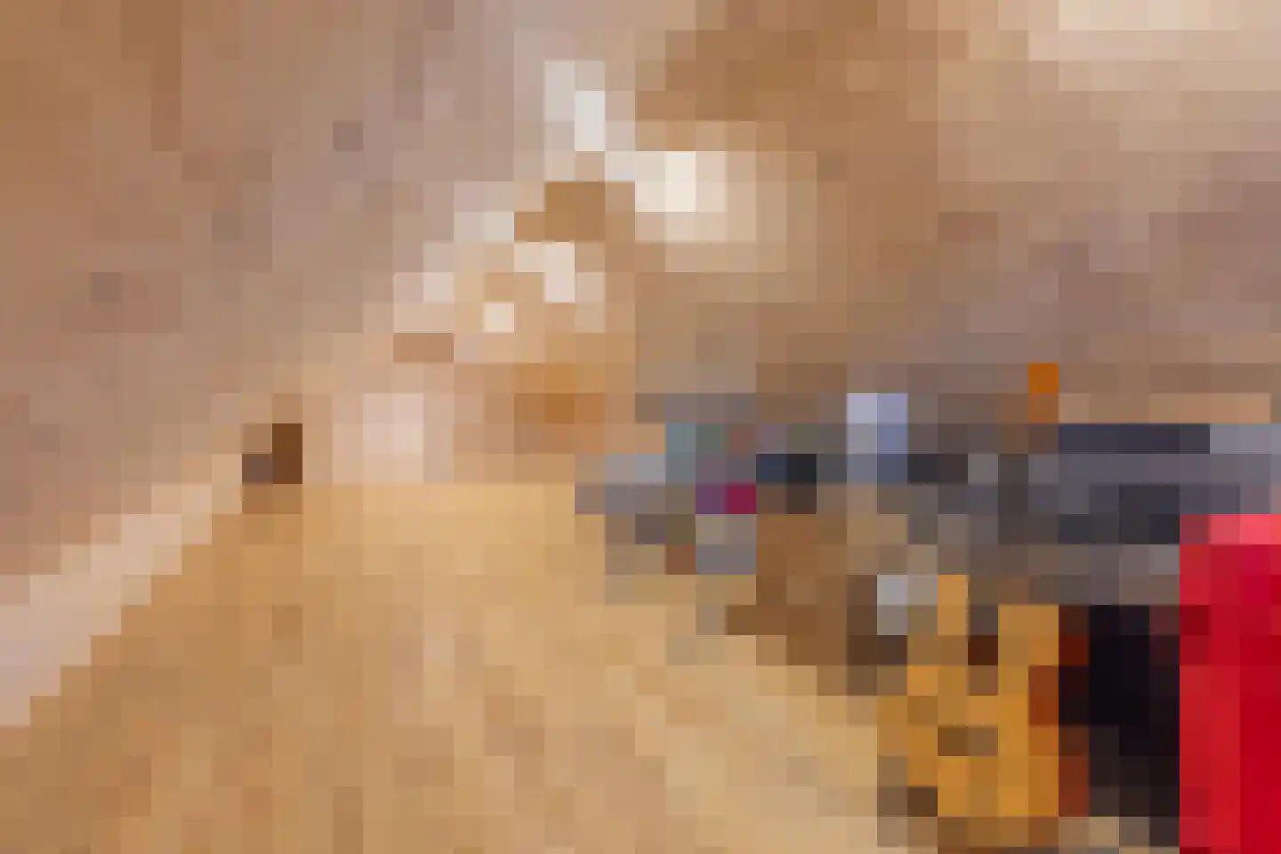 Oude Dinxperloseweg 72 Silvolde thumbnail 23