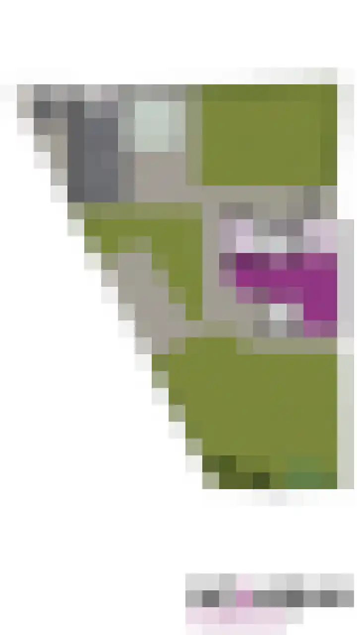 Oude Dinxperloseweg 72 Silvolde thumbnail 37