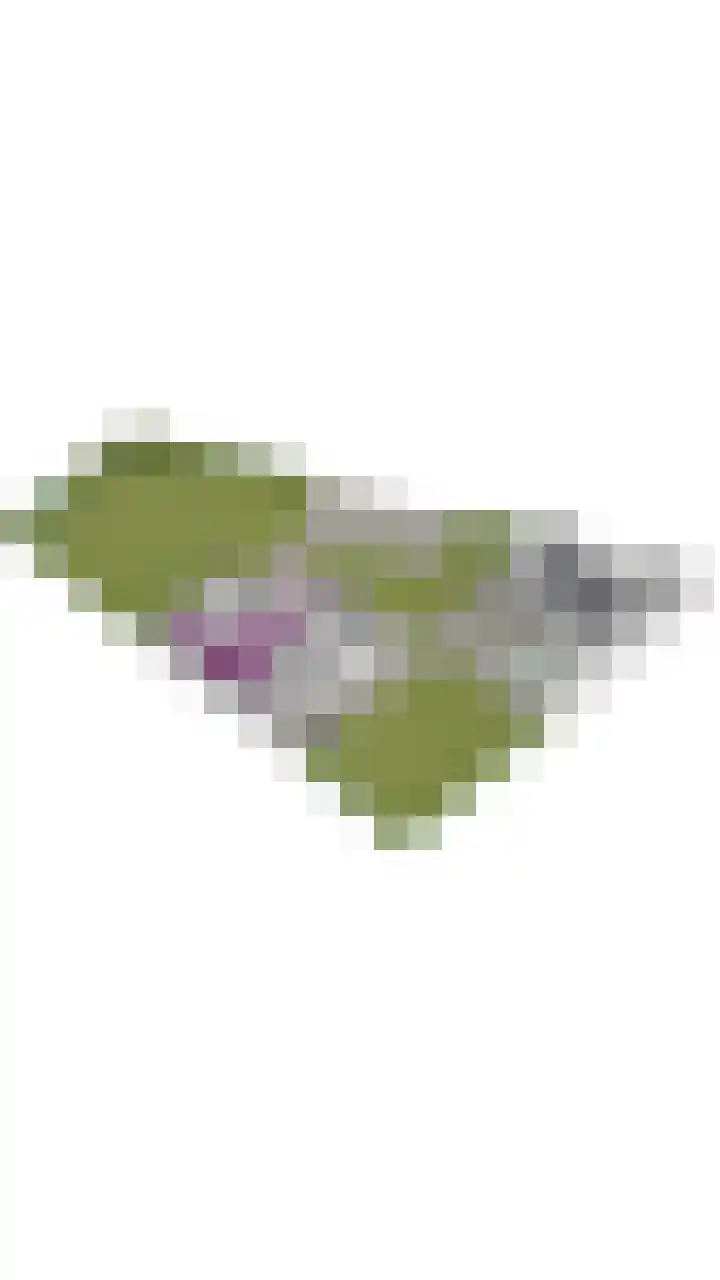 Oude Dinxperloseweg 72 Silvolde thumbnail 44