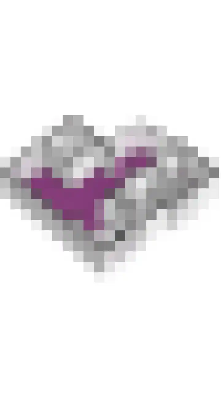 Oude Dinxperloseweg 72 Silvolde thumbnail 45