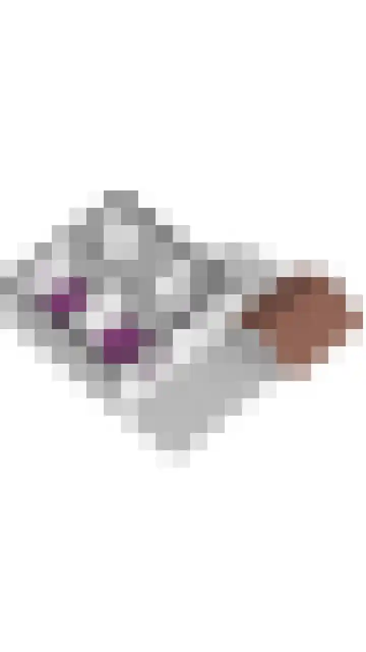 Oude Dinxperloseweg 72 Silvolde thumbnail 46
