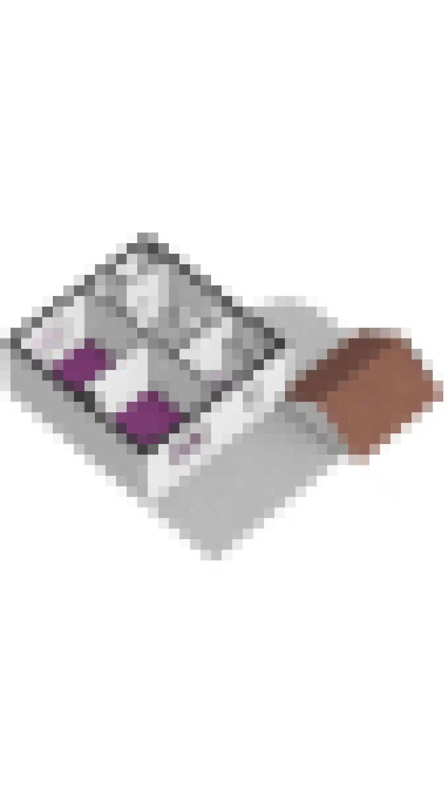 Oude Dinxperloseweg 72 Silvolde thumbnail 46