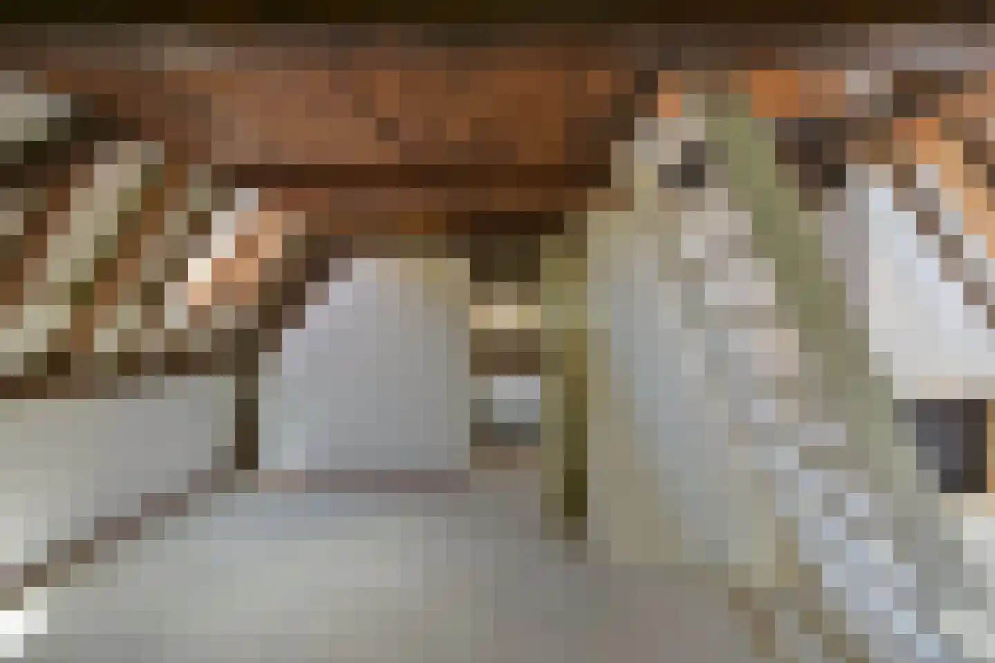 Oude Doelenkade 21 Hoorn thumbnail 15