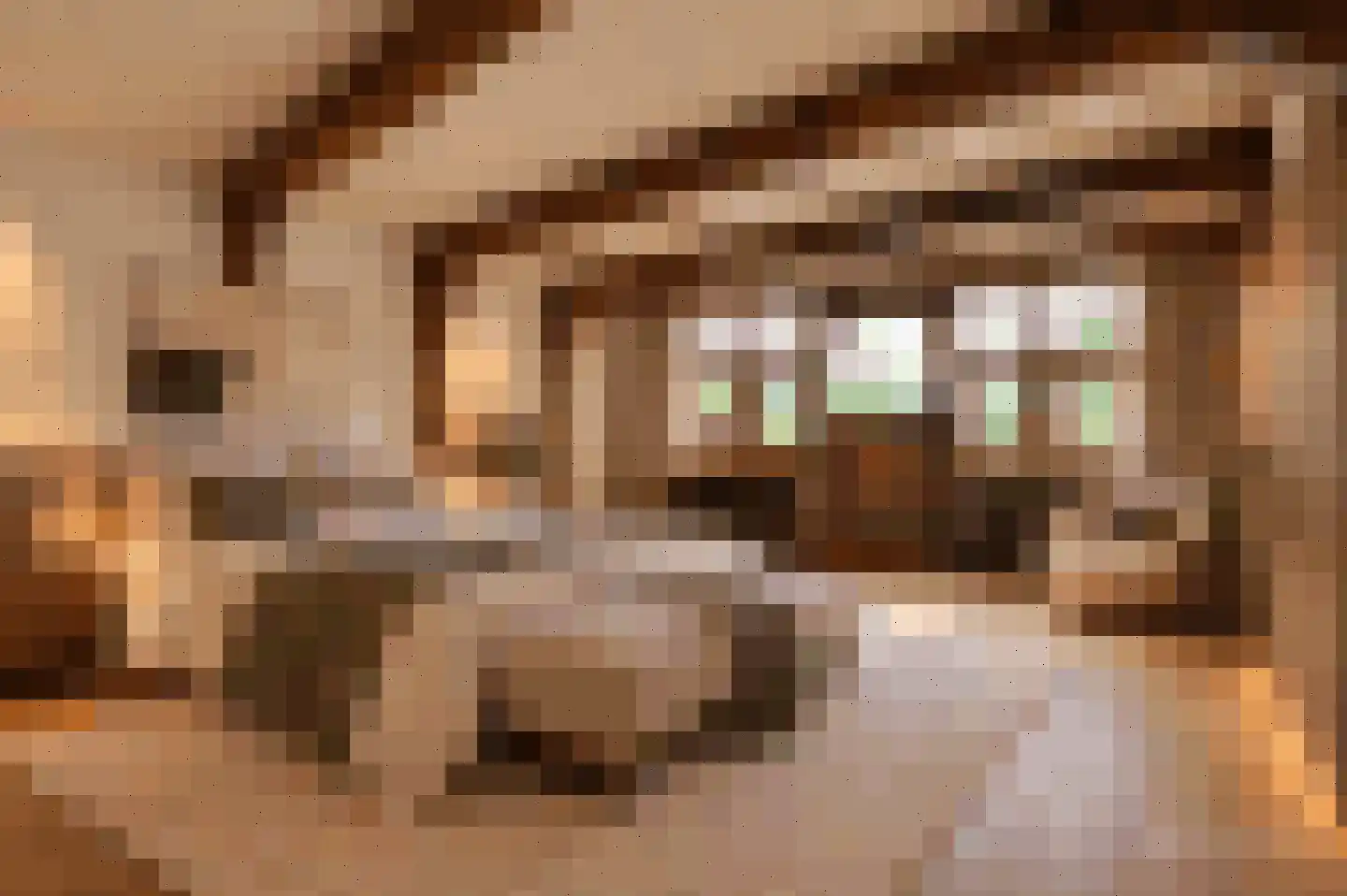 Oude Doelenkade 21 Hoorn thumbnail 16