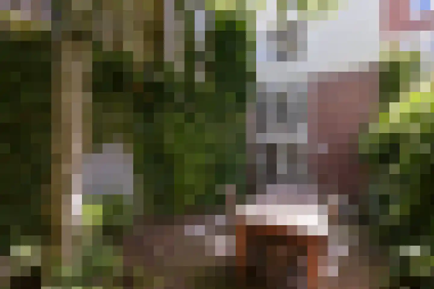 Oude Doelenkade 21 Hoorn thumbnail 17
