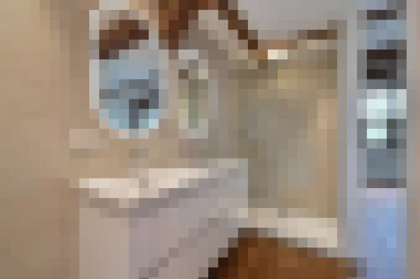 Oude Doelenkade 21 Hoorn thumbnail 17