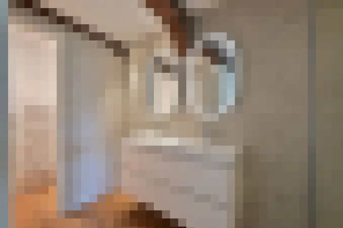 Oude Doelenkade 21 Hoorn thumbnail 18