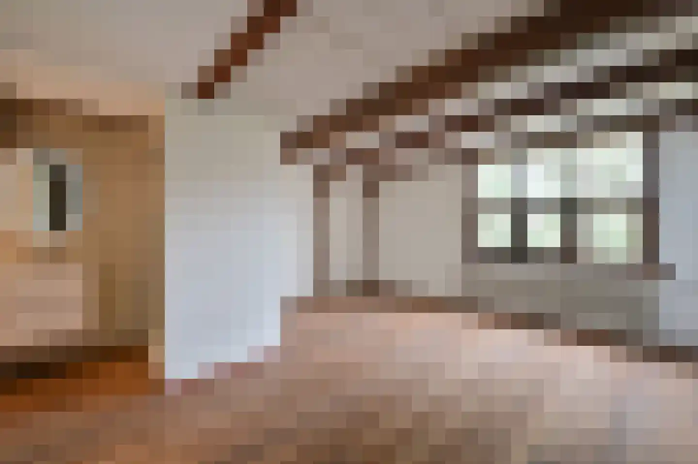 Oude Doelenkade 21 Hoorn thumbnail 19