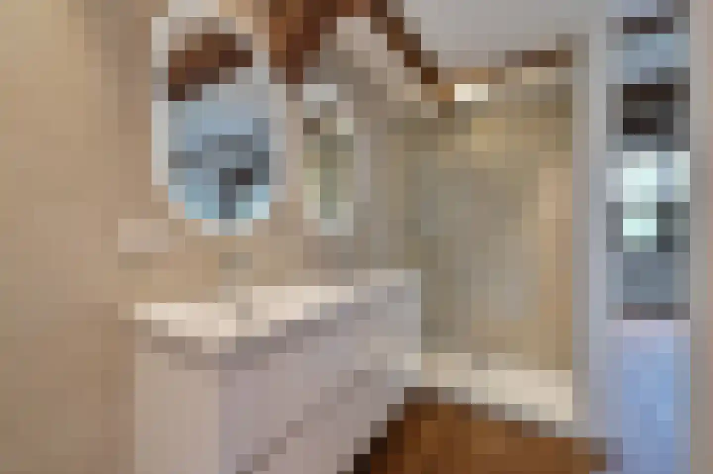 Oude Doelenkade 21 Hoorn thumbnail 23