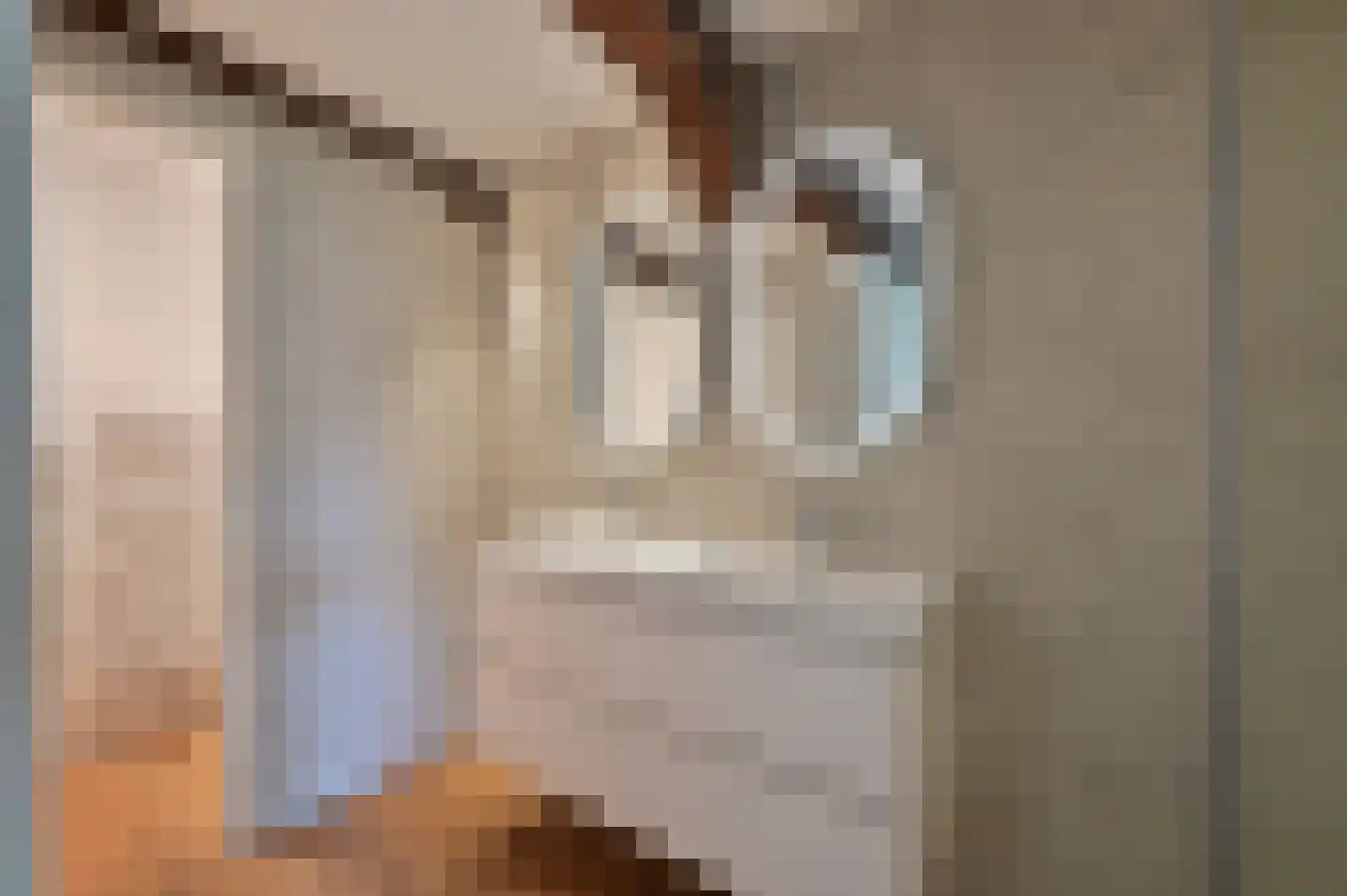 Oude Doelenkade 21 Hoorn thumbnail 24