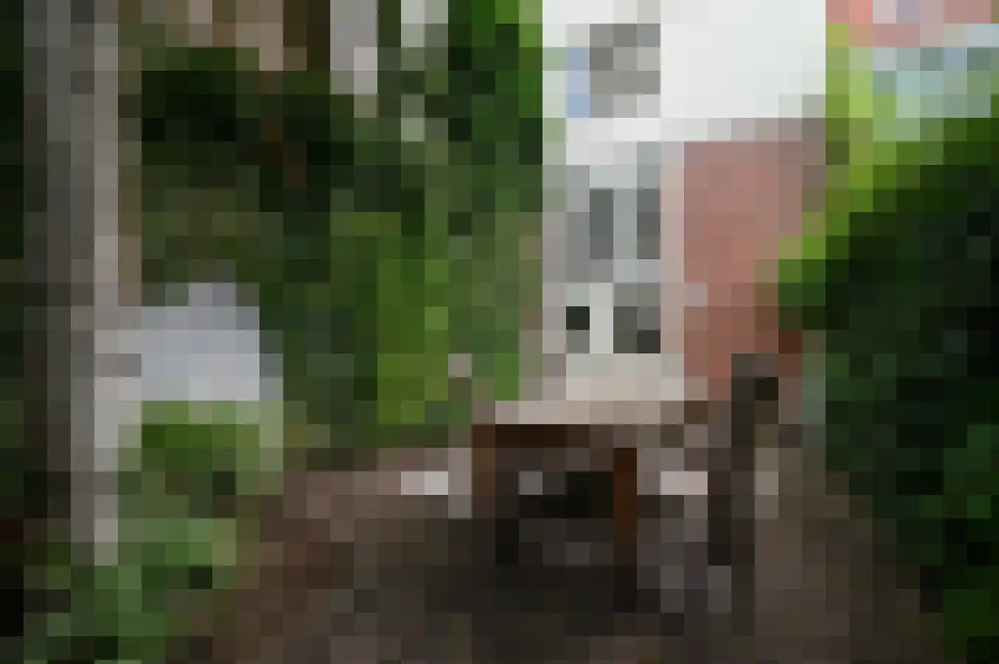 Oude Doelenkade 21 Hoorn thumbnail 26