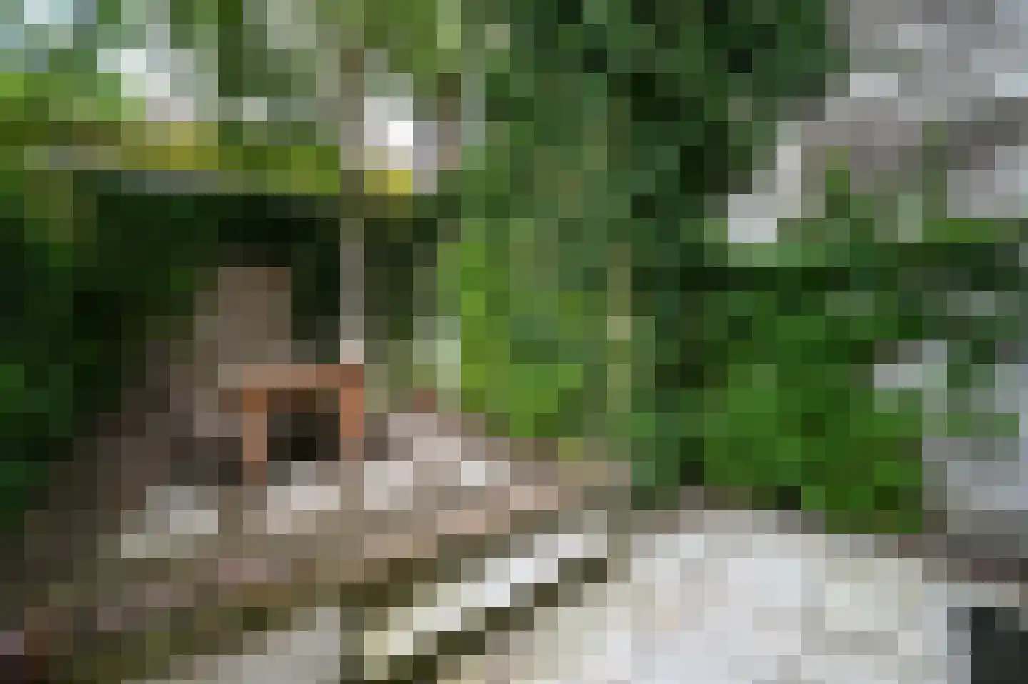 Oude Doelenkade 21 Hoorn thumbnail 28