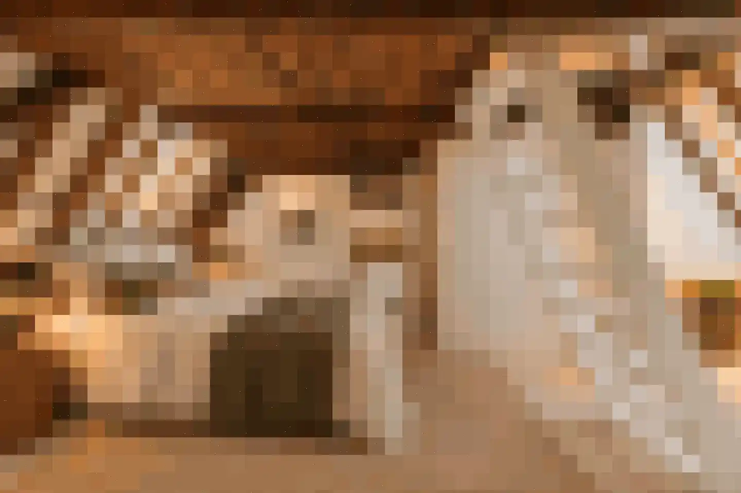 Oude Doelenkade 21 Hoorn thumbnail 29