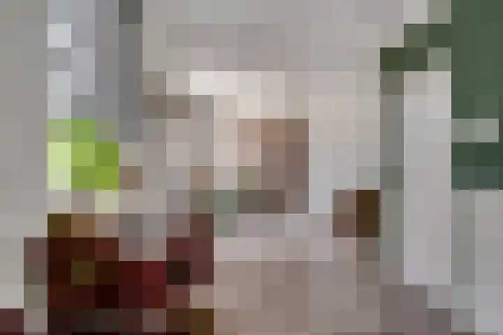 Oude Doesburgseweg 20 Zevenaar thumbnail 11