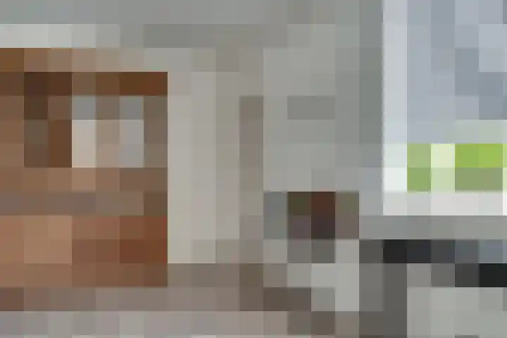 Oude Doesburgseweg 20 Zevenaar thumbnail 13