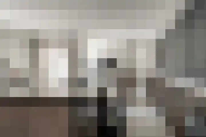 Oude Doesburgseweg 20 Zevenaar thumbnail 15