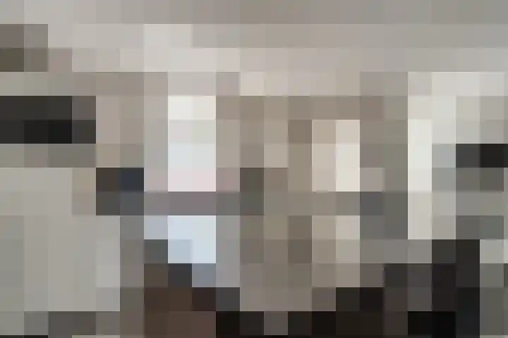 Oude Doesburgseweg 20 Zevenaar thumbnail 16