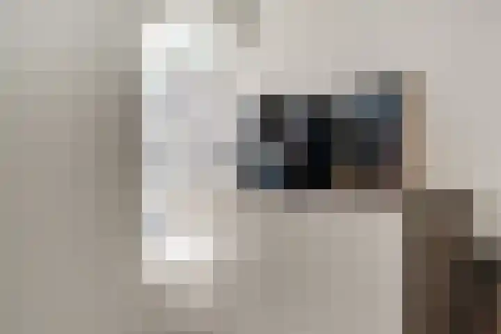Oude Doesburgseweg 20 Zevenaar thumbnail 17