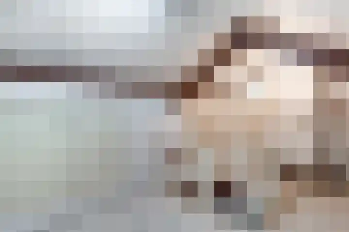 Oude Doesburgseweg 20 Zevenaar thumbnail 30