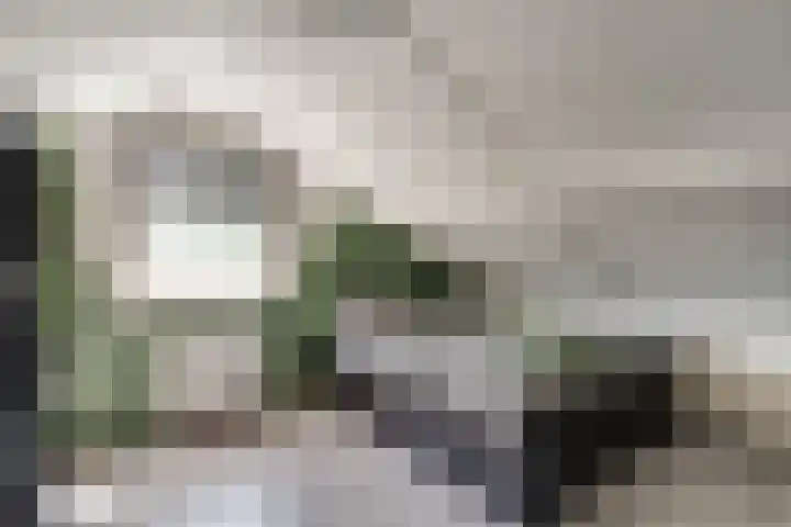 Oude Doesburgseweg 20 Zevenaar thumbnail 31
