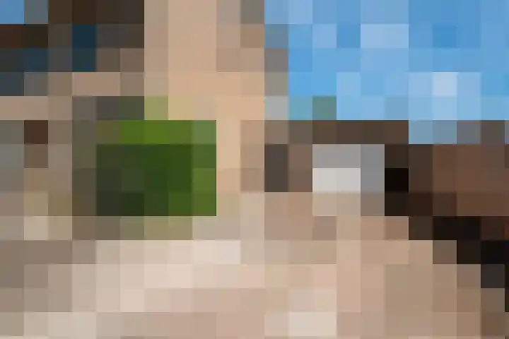 Oude Doesburgseweg 20 Zevenaar thumbnail 32