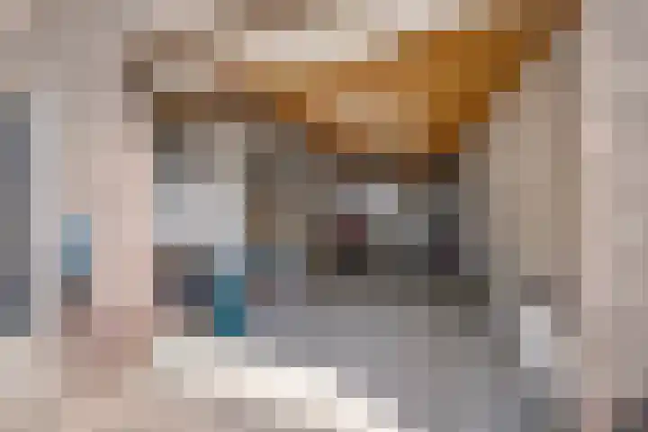 Oude Doesburgseweg 20 Zevenaar thumbnail 34