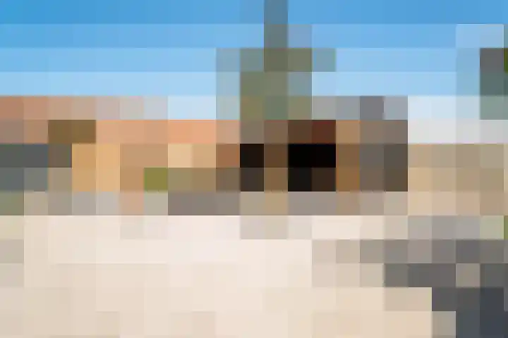 Oude Doesburgseweg 20 Zevenaar thumbnail 39